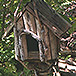 手作りの鳥小屋　Bird House